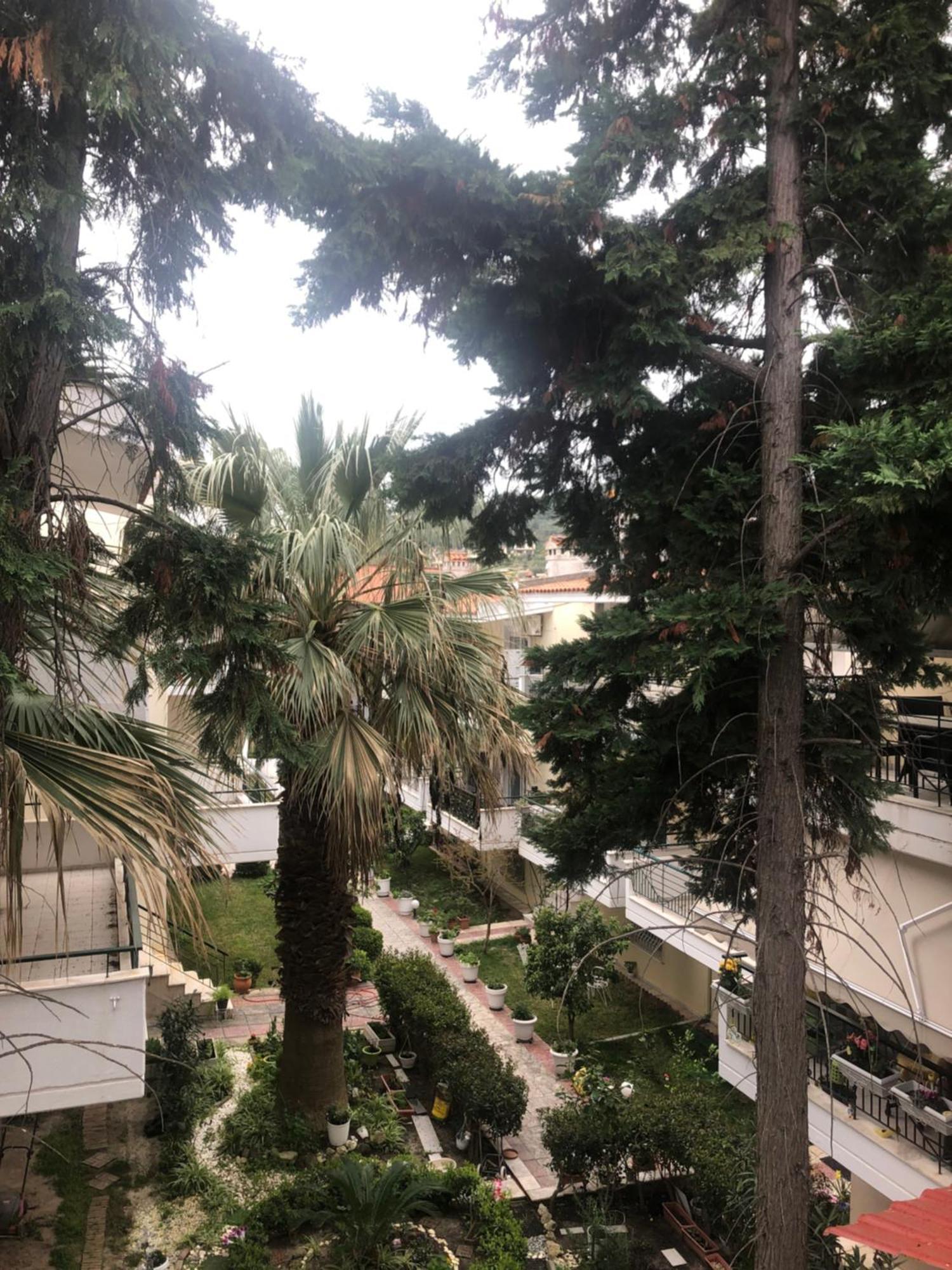 Miminllari Apartments 2 Pefkochori Zewnętrze zdjęcie